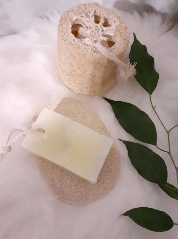 Porte savon luffa